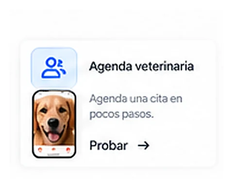 Agenda veterinaria